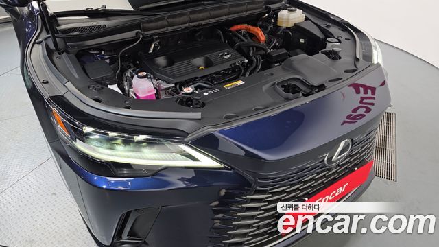 Lexus RX 2023 — photo 6