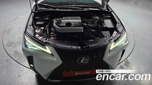 Lexus UX 2020 — photo 6