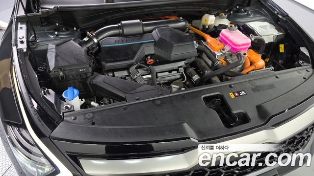 Kia Sportage 2023 — photo 6