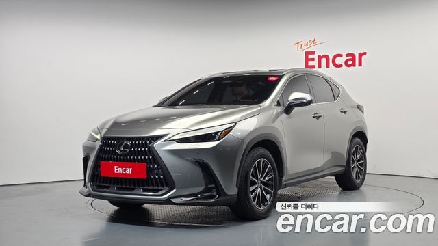 Lexus NX 2024 — photo 1