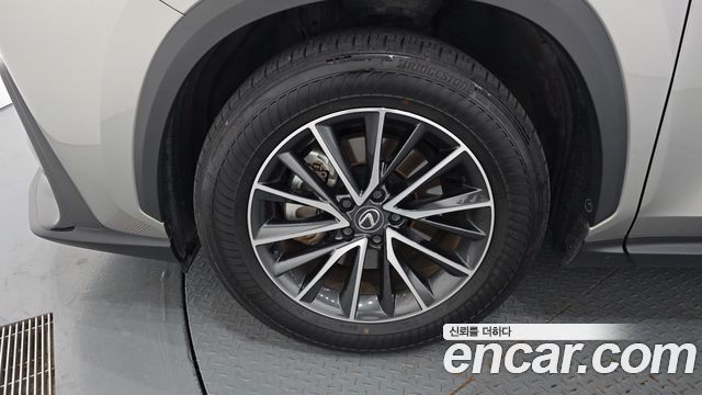 Lexus NX 2024 — photo 5