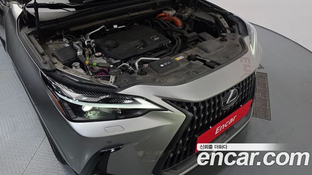 Lexus NX 2024 — photo 6