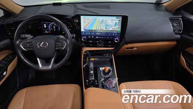 Lexus NX 2024 — photo 10