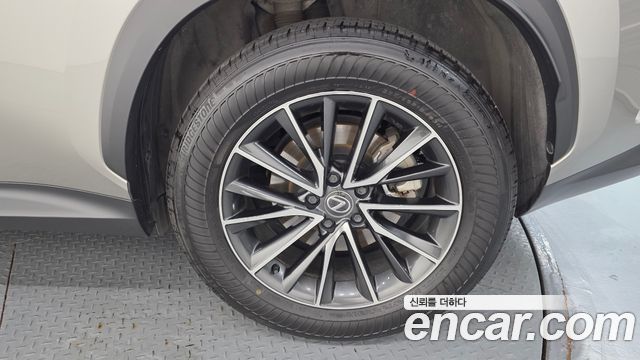 Lexus NX 2024 — photo 7