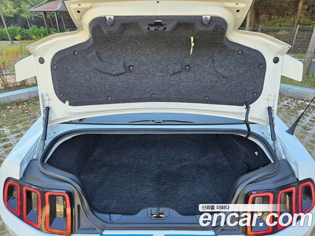 Ford Mustang 2014 — photo 20