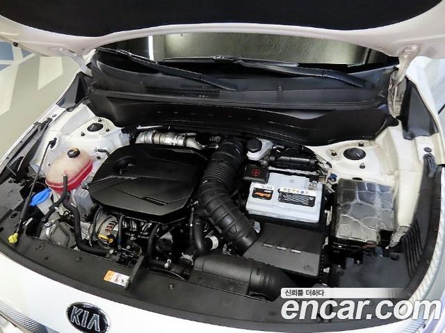 Kia Seltos 2022 — photo 19