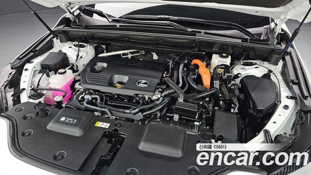 Lexus NX 2025 — photo 6