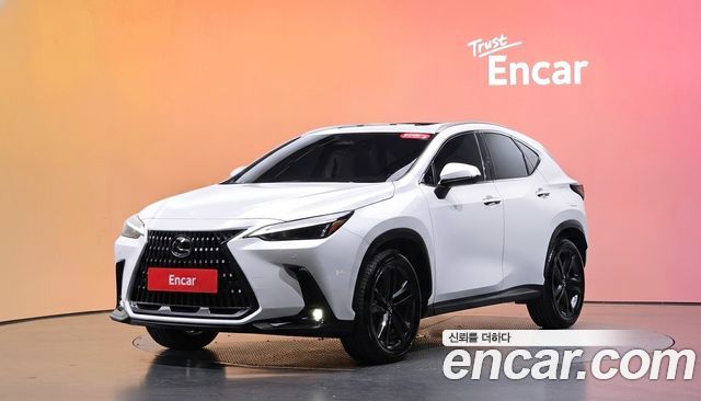 Lexus NX 2025 — photo 1