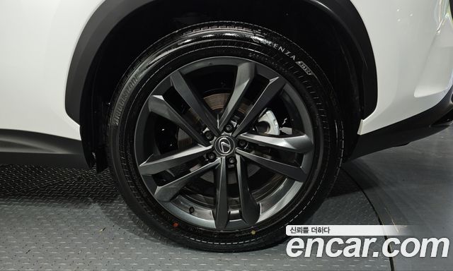 Lexus NX 2025 — photo 7