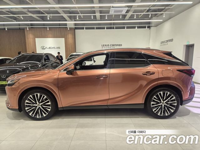 Lexus RX 2025 — photo 19