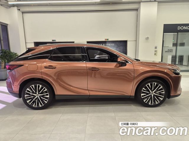 Lexus RX 2025 — photo 20
