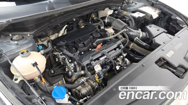 Kia Sportage 2024 — photo 6