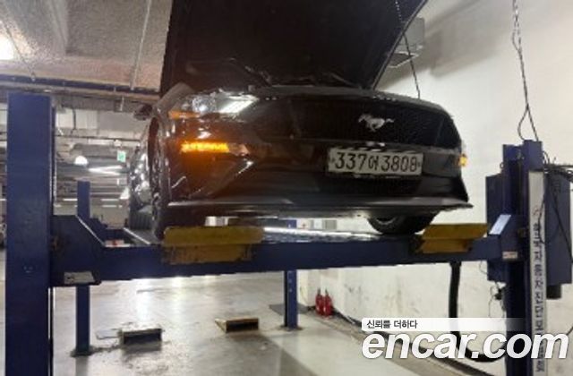 Ford Mustang 2019 — photo 1