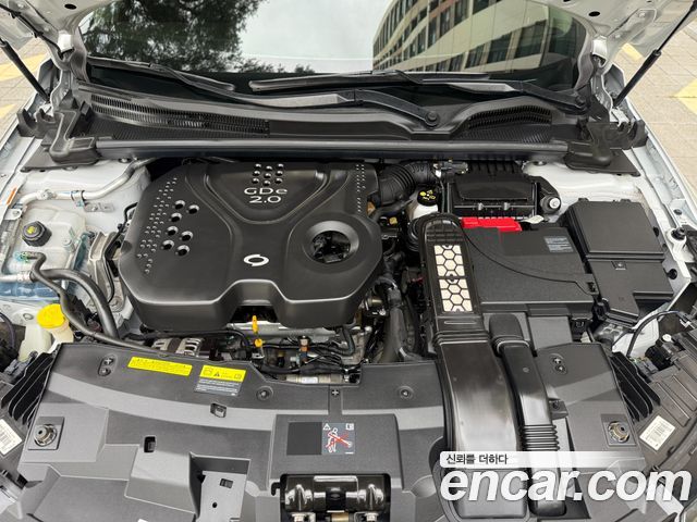 Renault Korea SM6 2019 — photo 6