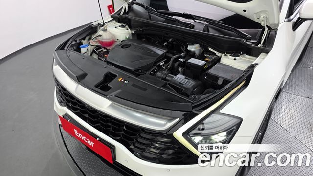 Kia Sportage 2024 — photo 6