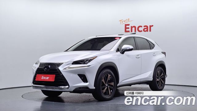 Lexus NX 2019 — photo 1