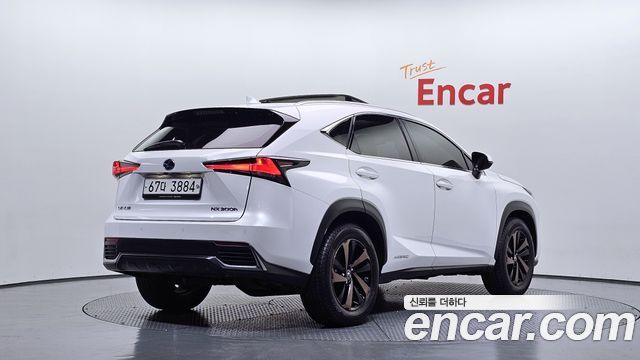 Lexus NX 2019 — photo 2