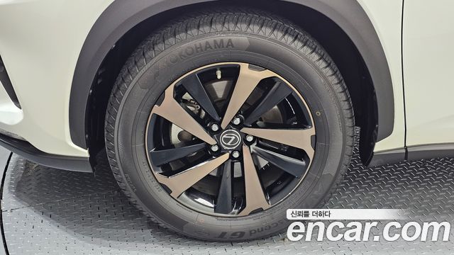 Lexus NX 2019 — photo 5