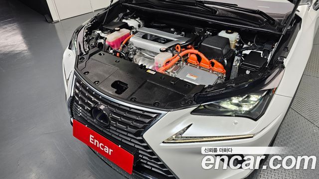 Lexus NX 2019 — photo 6
