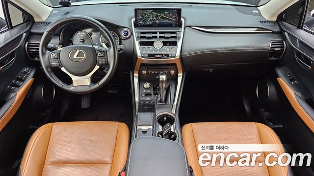 Lexus NX 2019 — photo 10