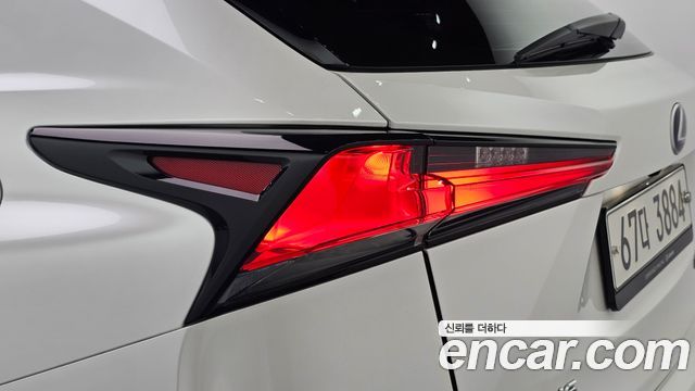 Lexus NX 2019 — photo 9