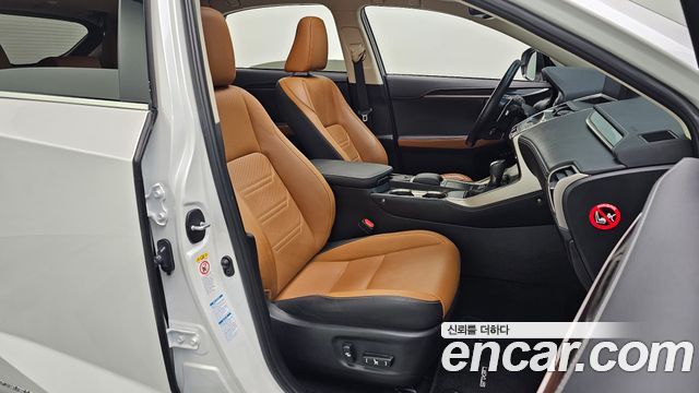 Lexus NX 2019 — photo 16