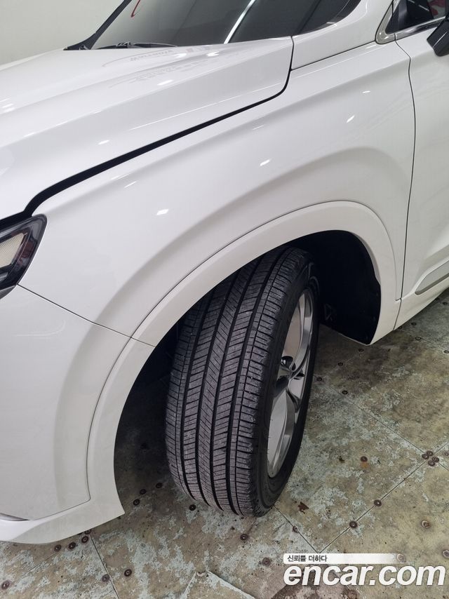 Hyundai Santafe 2019 — photo 6