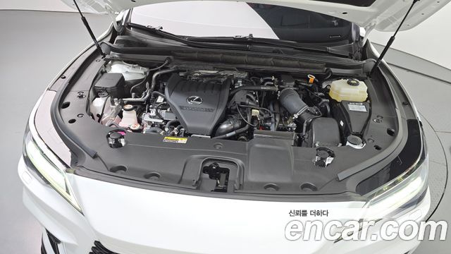 Lexus RX 2025 — photo 6