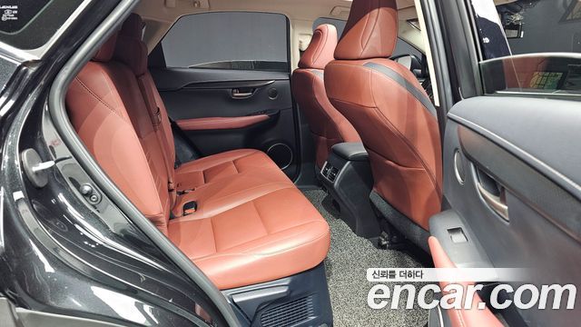 Lexus NX 2017 — photo 12
