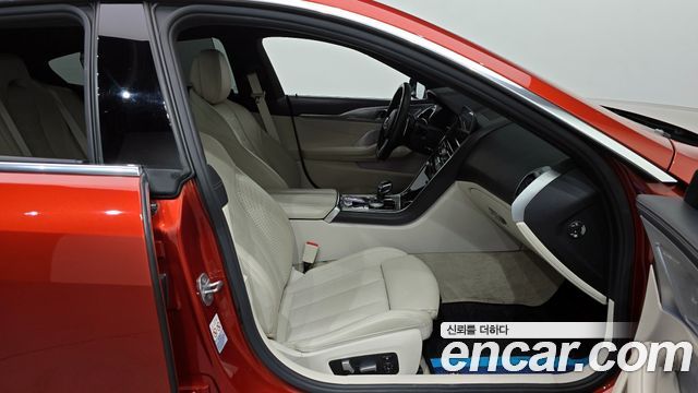 BMW 8-Series 2020 — photo 11
