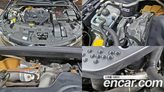 Renault Korea SM6 2017 — photo 20