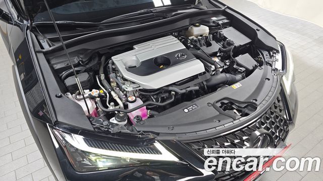 Lexus UX 2024 — photo 6