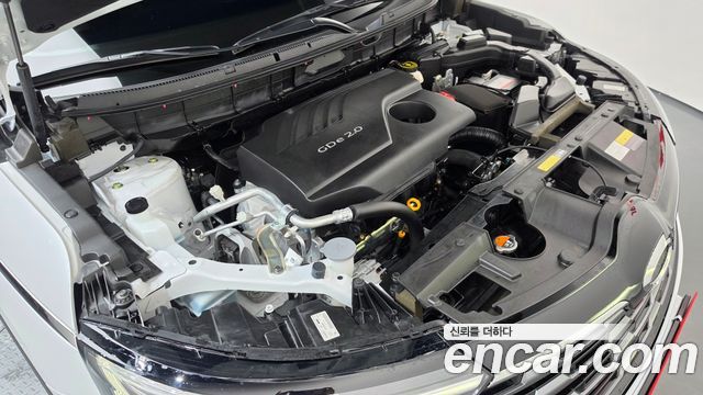 Renault Korea QM6 2024 — photo 6