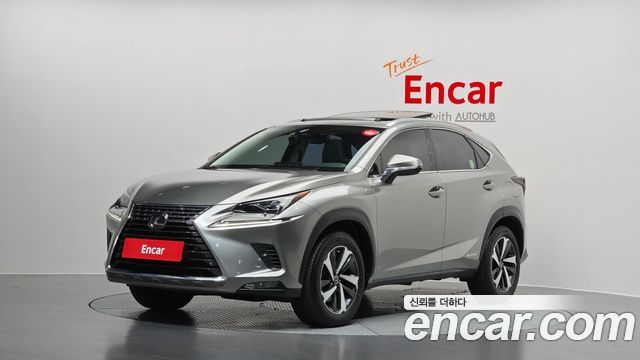 Lexus NX 2021 — photo 1