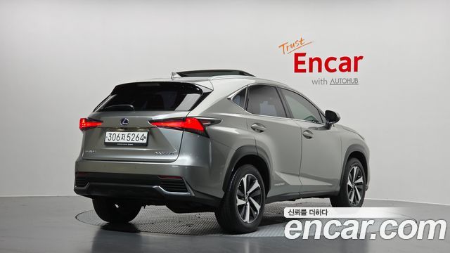 Lexus NX 2021 — photo 2