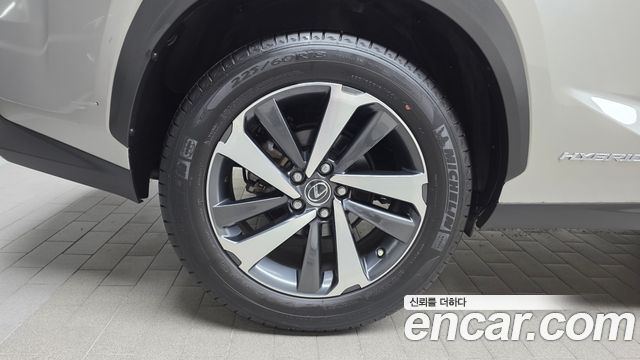 Lexus NX 2021 — photo 5