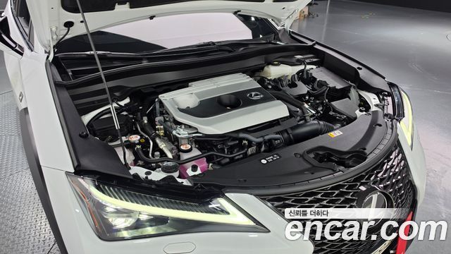 Lexus UX 2024 — photo 6