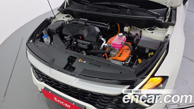 Kia Sportage 2024 — photo 6