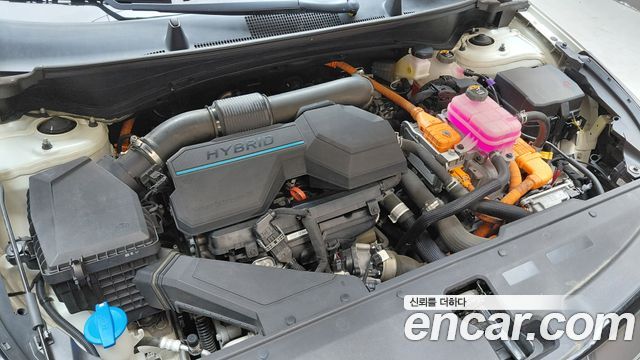 Kia Sportage 2023 — photo 6