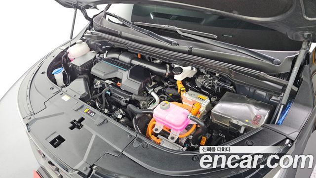 Kia Canival 2025 — photo 6