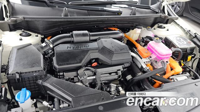 Kia Sportage 2025 — photo 6