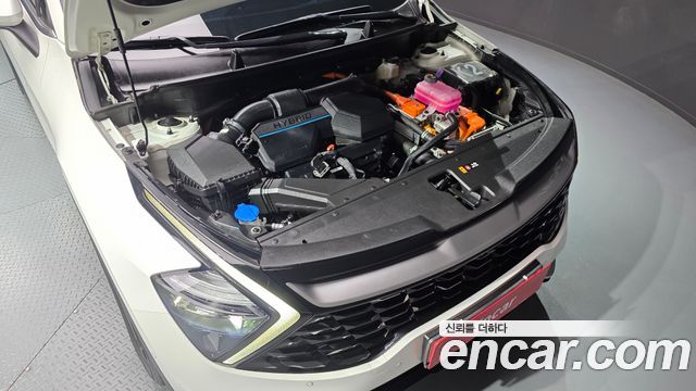 Kia Sportage 2023 — photo 6