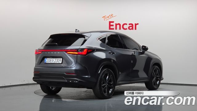 Lexus NX 2025 — photo 2