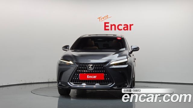 Lexus NX 2025 — photo 3