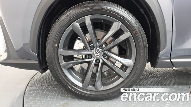 Lexus NX 2025 — photo 5