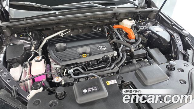 Lexus NX 2025 — photo 6
