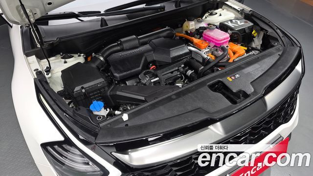 Kia Sportage 2024 — photo 6