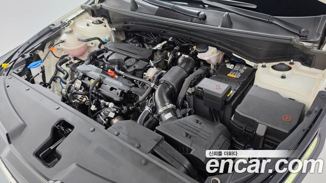 Kia Sportage 2024 — photo 6