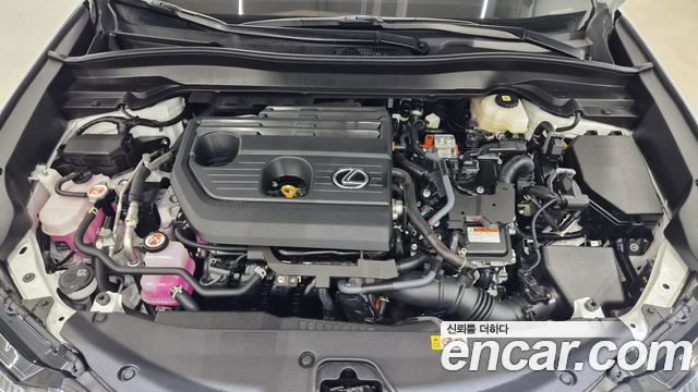 Lexus UX 2025 — photo 6