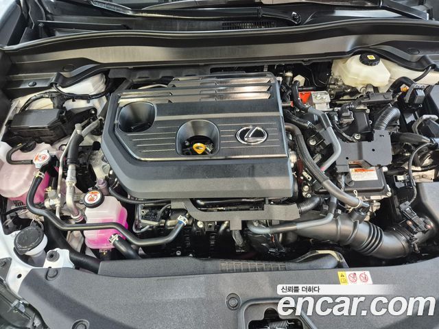 Lexus UX 2026 — photo 6